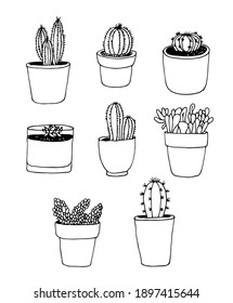 Cactus hand drawn vector set, plant collection isolated on white background