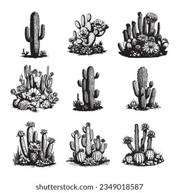 Cactus hand drawn vector set