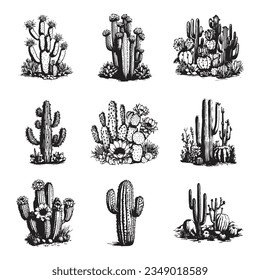 Cactus hand drawn vector set