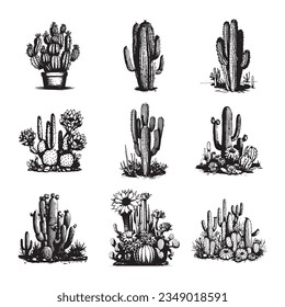 Cactus hand drawn vector set