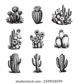 Cactus hand drawn vector set