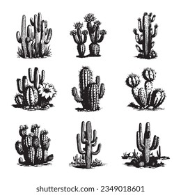 Cactus hand drawn vector set