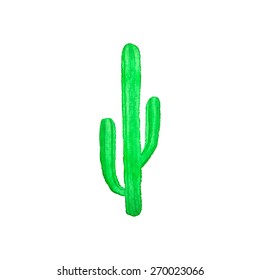 Cactus. Hand-drawn succulent cactus. Real watercolor drawing.  Vector illustration. Traced painting