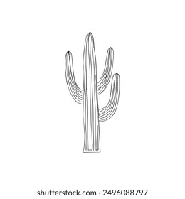 Cactus, Hand-Drawn Vector, Graphic Style, Cartoon Illustration, Black and White, Sketch Style, Isolated on White Background