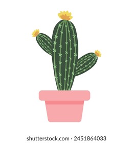Cactus healing hand drawn vector botanical illustration