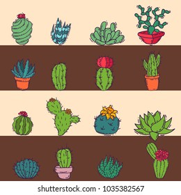 Cactus home nature card vector illustration of green plant cactaceous tree with flower