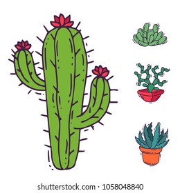 Cactus Home Nature Vector Illustration Of Green Plant Cactaceous Tree With Flower