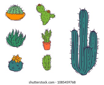 Cactus home nature vector illustration of green plant cactaceous tree with flower