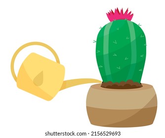 Cactus home nature vector illustration of green plant cactaceous tree with flower