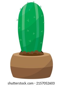 Cactus home nature vector illustration of green plant cactaceous tree with flower