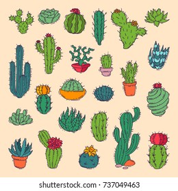 Cactus home nature vector illustration of green plant cactaceous tree with flower