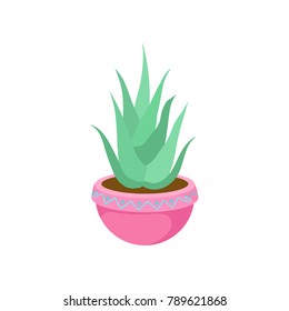 Cactus, home plant in a flowerpot cartoon vector Illustration