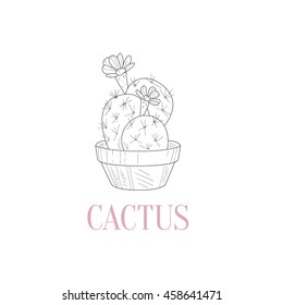 Cactus Home Plant Hand Drawn Realistic Sketch