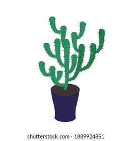 Cactus in house pot vector illustration