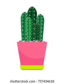 Cactus houseplant in flower pot vector icon on white background