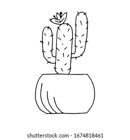  Cactus. Planta doméstica. Dibujo vectorial lineal. Elemento decorativo, afiche. Libro de colorantes para niños.