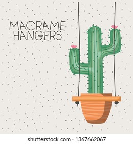 cactus houseplant in macrame hangers