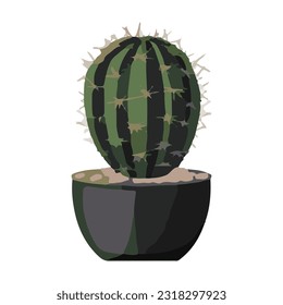 cactus houseplant in pot watercolor detailed illustration