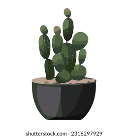 cactus houseplant in pot watercolor detailed illustration