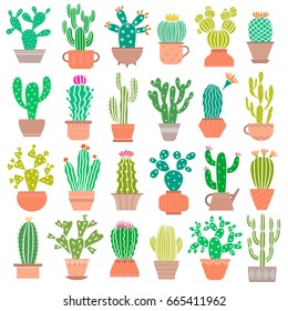 Cactus houseplant vector set. Cacti illustration isolated on white
