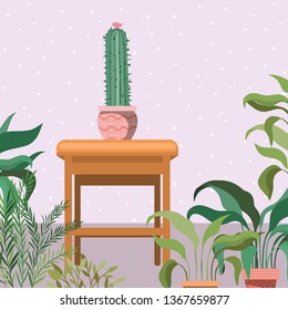 cactus houseplants in the garden