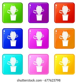 Cactus houseplants in pot icons of 9 color set isolated vector illustration