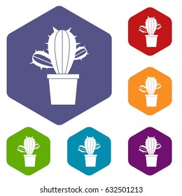 Cactus houseplants in pot icons set hexagon isolated vector illustration