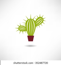 Cactus Icon