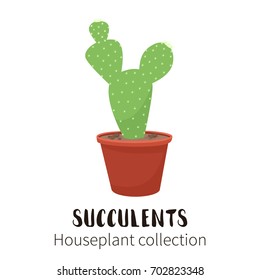 Cactus icon in cartoon flat style isolated on white background. Home plants cactus in pots. A decorative cactus with prickles .