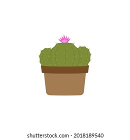 Cactus icon design template vector isolated