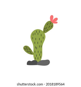 Cactus icon design template vector isolated