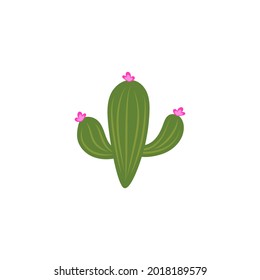 Cactus icon design template vector isolated
