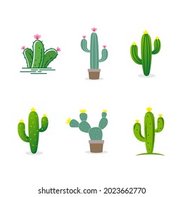 Cactus Icon design template vector illustration