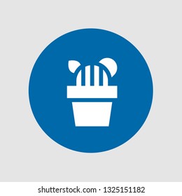  Cactus icon. Editable  Cactus icon for web or mobile.