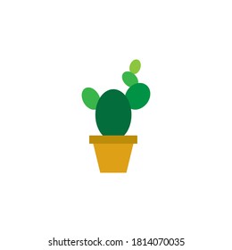 Cactus icon flat design vector