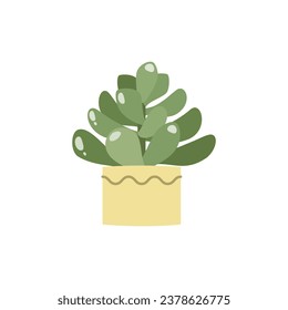 Cactus icon. Flat illustration of a succulent in a flower pot. Vector 10 EPS.