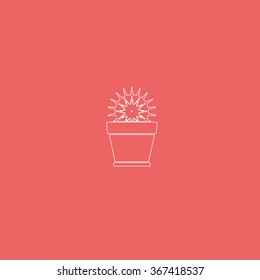 Cactus icon. Flat pot illustration.