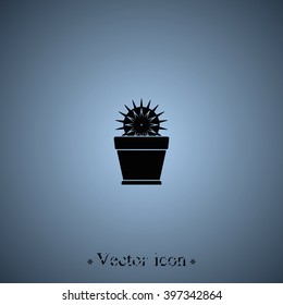 Cactus icon. Flat pot illustration.