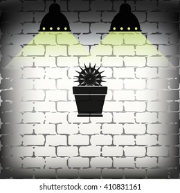 Cactus icon. Flat pot illustration.