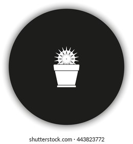 Cactus icon. Flat pot illustration.