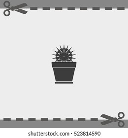Cactus icon. Flat pot illustration.