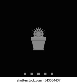 Cactus icon. Flat pot illustration.