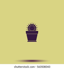 Cactus icon. Flat pot illustration.