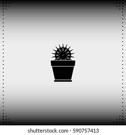 Cactus icon. Flat pot illustration.