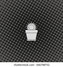 Cactus icon. Flat pot illustration.