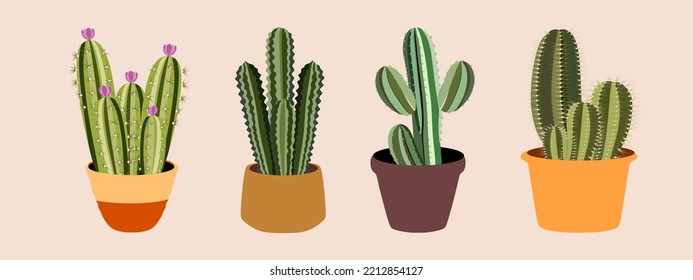 Cactus icon in flat style. Cactus house plant in pot and with flowers. Various decorative cacti with thorns.