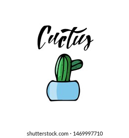 Cactus icon in a flat style on a white background. Home plant cactus in pot. Lettering composition. Hand drawing vector illustration.