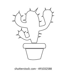 Cactus icon illustration design
