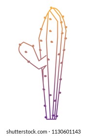 cactus icon image