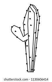 cactus icon image